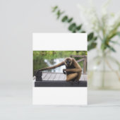 テナガザル ポストカード (スタンド正面)