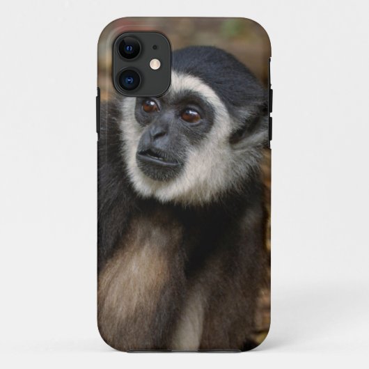 テナガザル (Hylobates Lar)、モンキーランド Case-Mate iPhoneケース (裏面)