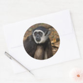 テナガザル (Hylobates Lar) Monkeyland ラウンドシール (封筒)