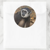 テナガザル (Hylobates Lar) Monkeyland ラウンドシール (バッグ)