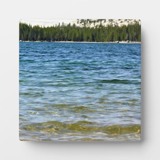 テナヤ湖の岸辺、ヨセミテ、カリフォルニア州 フォトプラーク (正面)