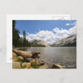 テナヤ湖ヨセミテNP ポストカード (正面/裏面)
