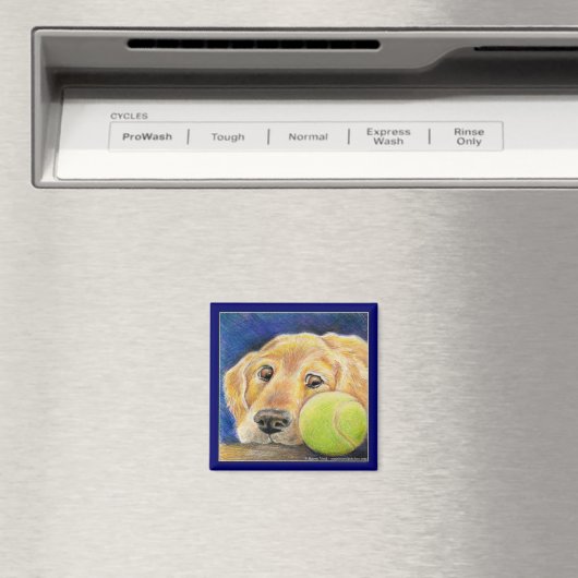 テニスおもしろいボール付きゴールデンレトリバー犬 マグネット (インサイチュ (食洗機))