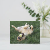 テニスのボールで草の中に逆さまに寝ている犬 ポストカード (スタンド正面)