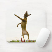 テニスのボールを空中で捕まえる犬 マウスパッド (マウス)