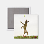 テニスのボールを空中で捕まえる犬 マグネット (正面/裏面)