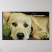 テニスの人は？ ポスター (正面)