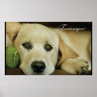 テニスの人は？ ポスター