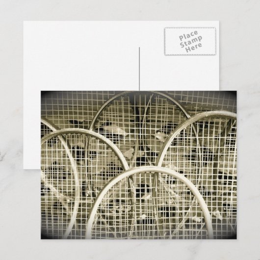 テニスの人は？ ポストカード (正面/裏面)