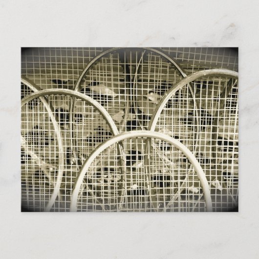 テニスの人は？ ポストカード (正面)