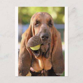 テニスは誰か？ ポストカード