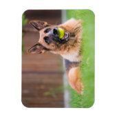 テニスボールのあるドイツの羊飼い マグネット (縦)