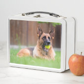 テニスボールを持つドイツ人の羊飼い メタルランチボックス (インサイチュ)