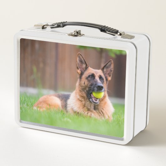 テニスボールを持つドイツ人の羊飼い メタルランチボックス (正面)