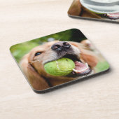 テニスボール付きゴールデンレトリバー コースター (左側)