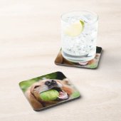 テニスボール付きゴールデンレトリバー コースター (右側)