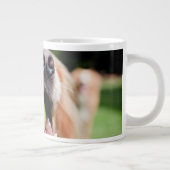 テニスボール付きゴールデンレトリーバー ジャンボコーヒーマグカップ (右)