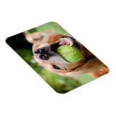 テニスボール付きゴールデンレトリーバー マグネット (右側)