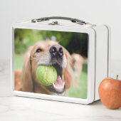 テニスボール付きゴールデンレトリーバー メタルランチボックス (インサイチュ)