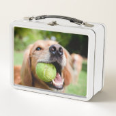 テニスボール付きゴールデンレトリーバー メタルランチボックス (正面)