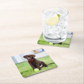 テニスボール付きチョコラブラドール子犬 スクエアペーパーコースター (インサイチュ)