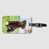 テニスボール付きチョコラブラドール子犬 ラゲッジタグ (正面横)