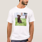 テニスボール付きチョコラブラドール子犬 Tシャツ (正面)