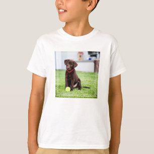 テニスボール付きチョコラブラドール子犬 Tシャツ