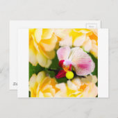 テニスボール付きピンクのラン ポストカード