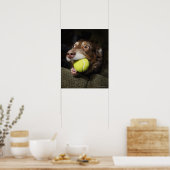 テニスボール付き犬 ポスター (キッチン)