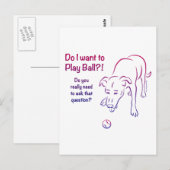 テニスボール犬 ポストカード (正面/裏面)