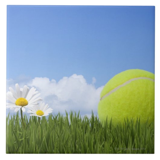 テニスボール タイル (正面)