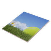 テニスボール タイル (側面)