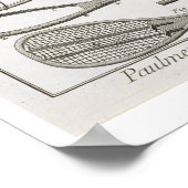 テニス実在とレースの建築 ポスター (角)