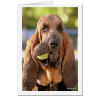 テニス、だれでもか。