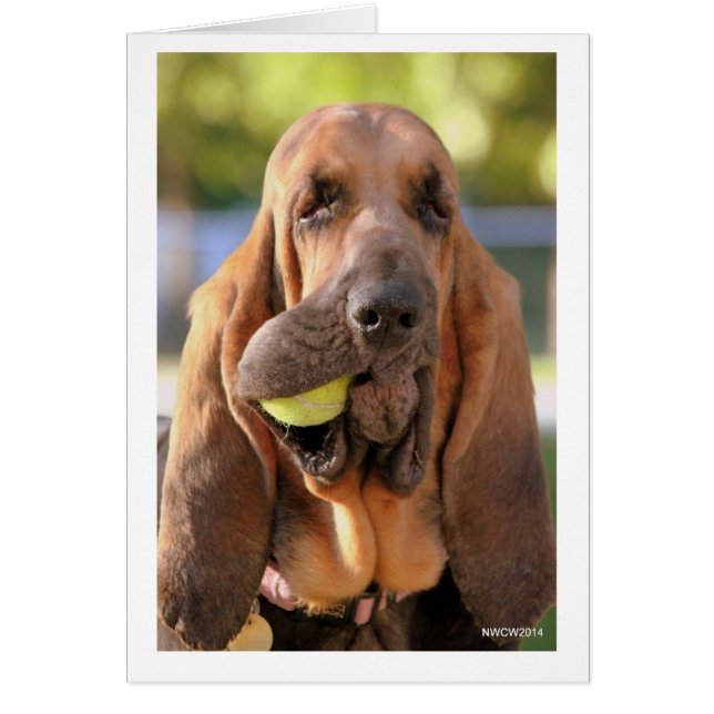 テニス、だれでもか。 (正面)