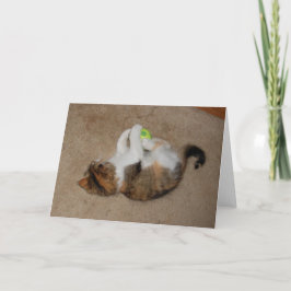 テニス・ボールが付いている演劇の子ネコ カード