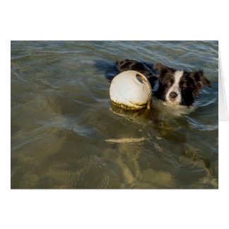 テニス・ボールは虚弱者のためです!