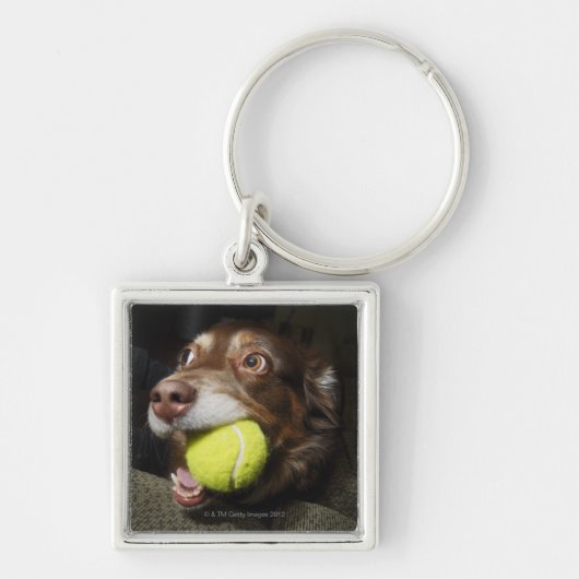 テニス・ボールを持つ犬 キーホルダー (正面)