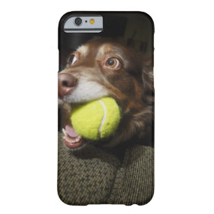 テニス・ボールを持つ犬 BARELY THERE iPhone 6 ケース