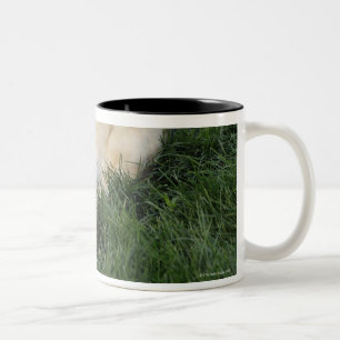 テニス・ボールを持つ草で逆さまに置くことの後をつけて下さい ツートーンマグカップ