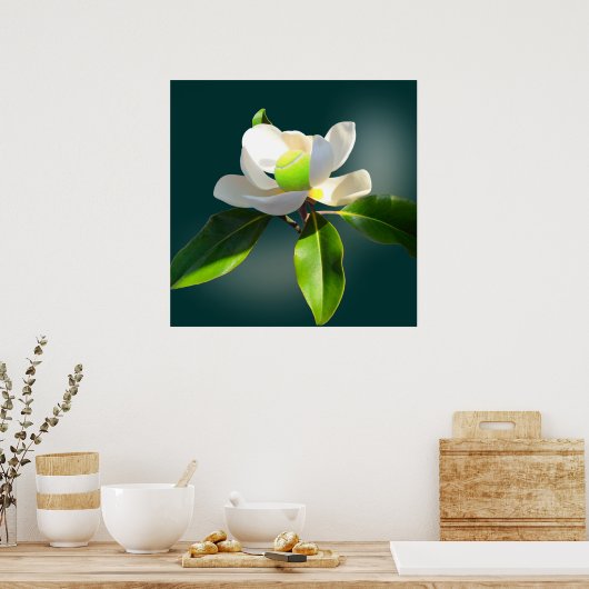 テニス・マグノリア、テニス ポスター (キッチン)