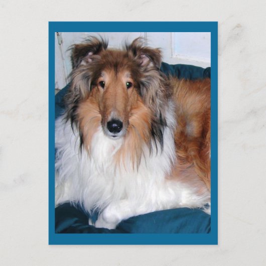 テニーソン – アコリー ポストカード (正面)