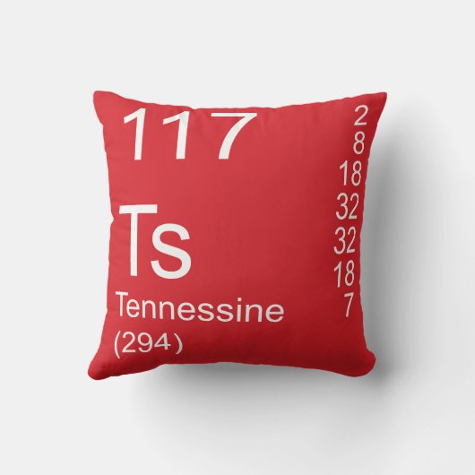 テネシン クッション (裏面)