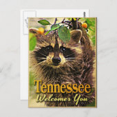 テネシーはアライグマを歓迎 ポストカード (正面/裏面)