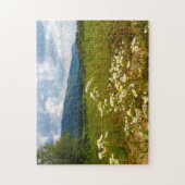 テネシーデイジーのフィールド。 ジグソーパズル (縦)