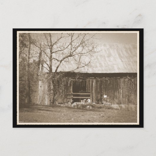 テネシーファームオールドバーン ポストカード (正面)