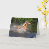 テネシーランニングウォーカー川の水 カード (黄色い花)