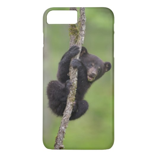 テネシー州で遊ぶクロクマの子熊 Case-Mate iPhoneケース (裏面)