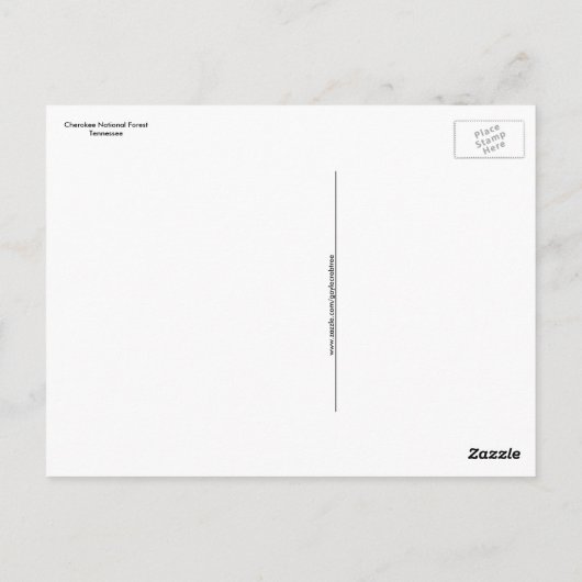 テネシー州のチェロキー国立森林の秋にサインイン ポストカード (裏面)